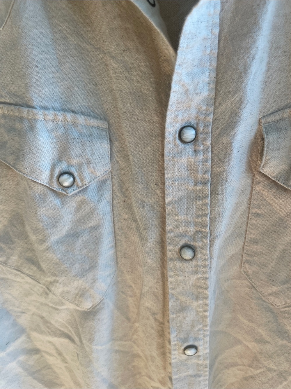 Button Down - Picture 3 of 3